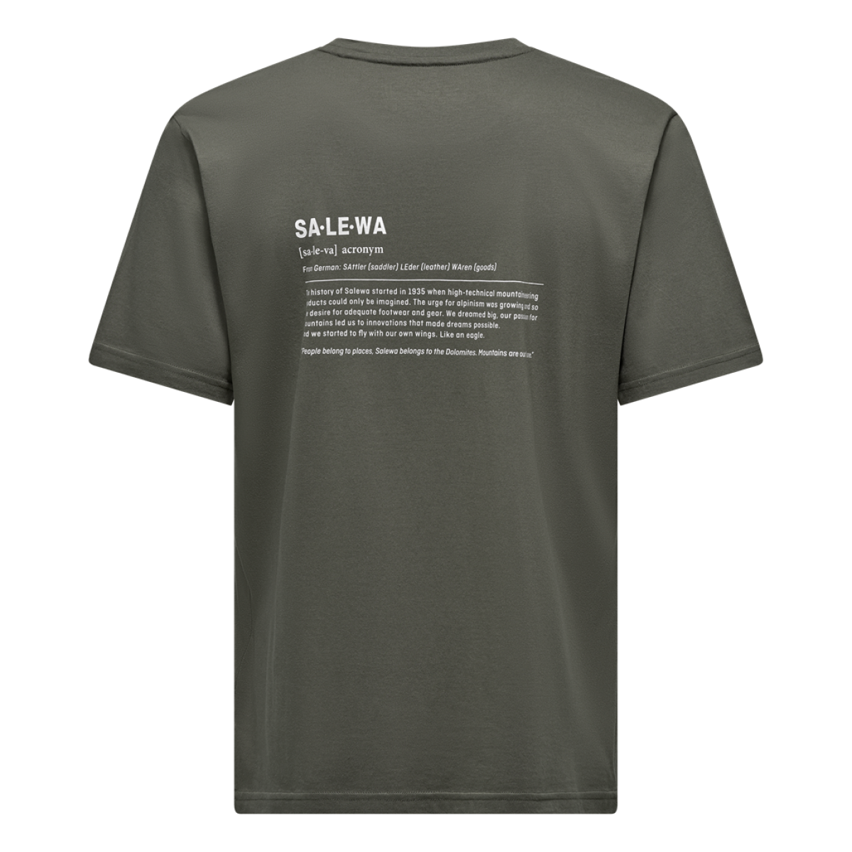 Мъжка туристическа тениска Salewa Eagle Vocab T-Shirt Men Faded Green