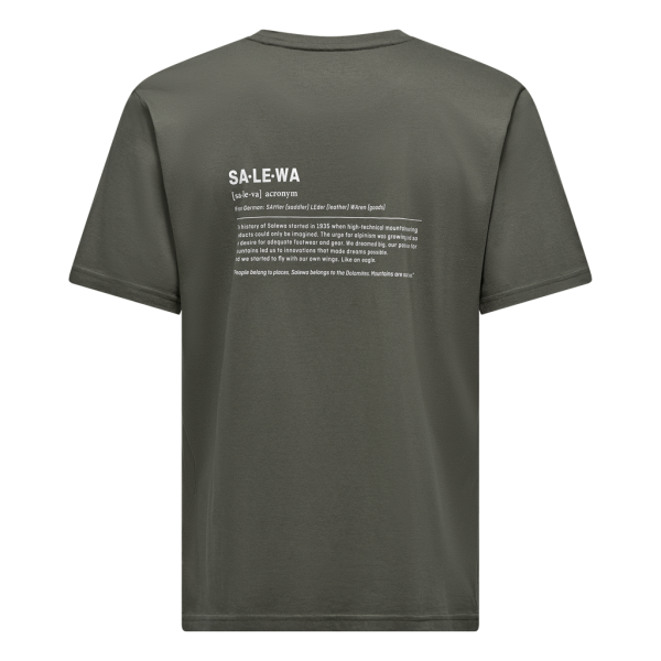 Мъжка туристическа тениска Salewa Eagle Vocab T-Shirt Men Faded Green
