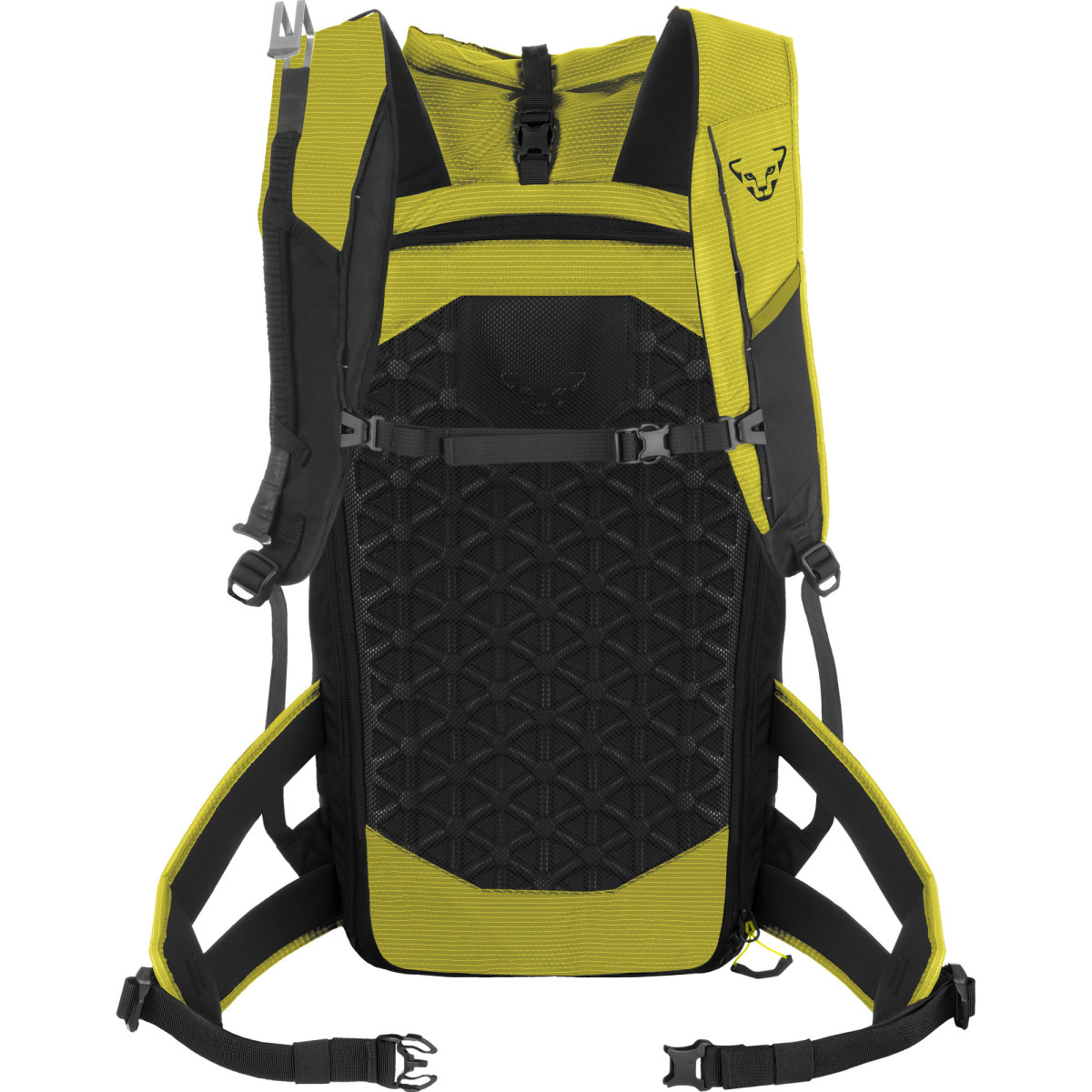 Ски раница Dynafit Radical 30+ Backpack Men Golden Lime/Black Out