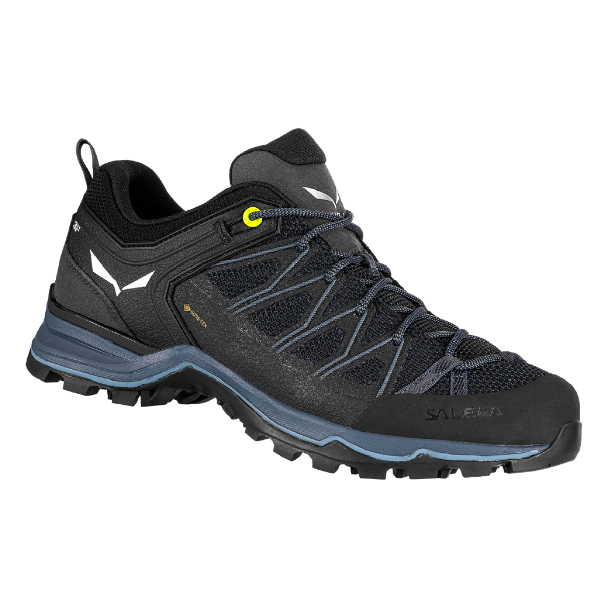 Мъжки туристически обувки Salewa Mountain Trainer Lite GORE-TEX® Shoe Men Black