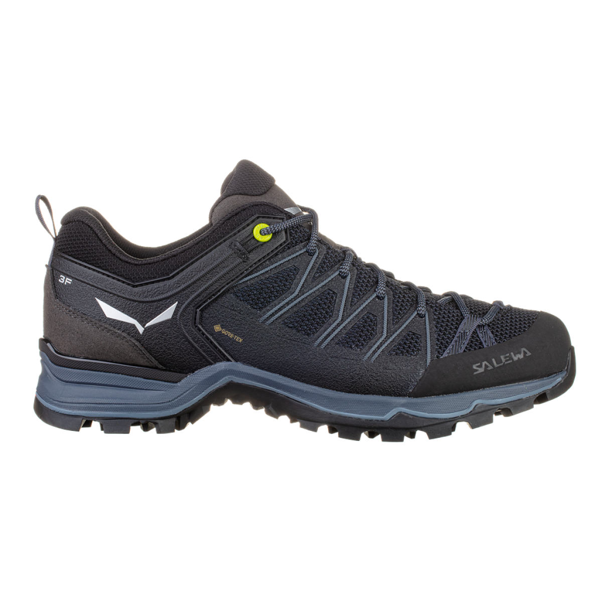 Мъжки туристически обувки Salewa Mountain Trainer Lite GORE-TEX® Shoe Men Black