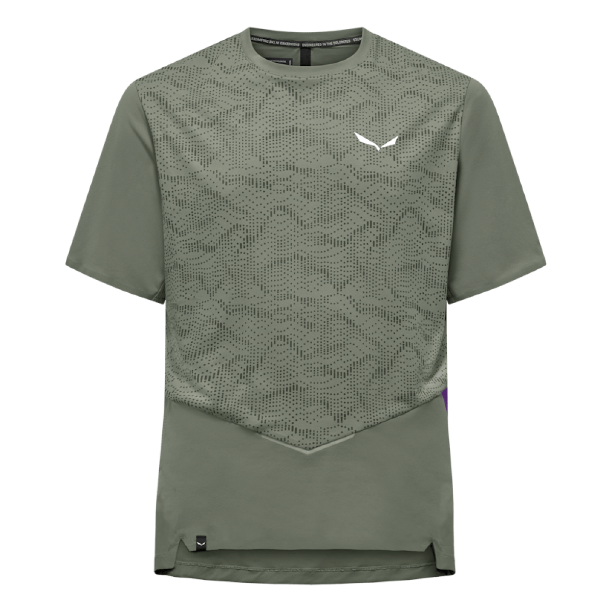Мъжка туристическа тениска Salewa Pedroc Tech Dry'Ton T-Shirt Men Faded Green