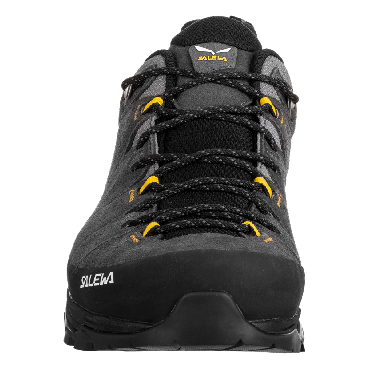 Мъжки туристически обувки Salewa Alp Trainer 2 GORE-TEX® Shoe Men Onyx/Black