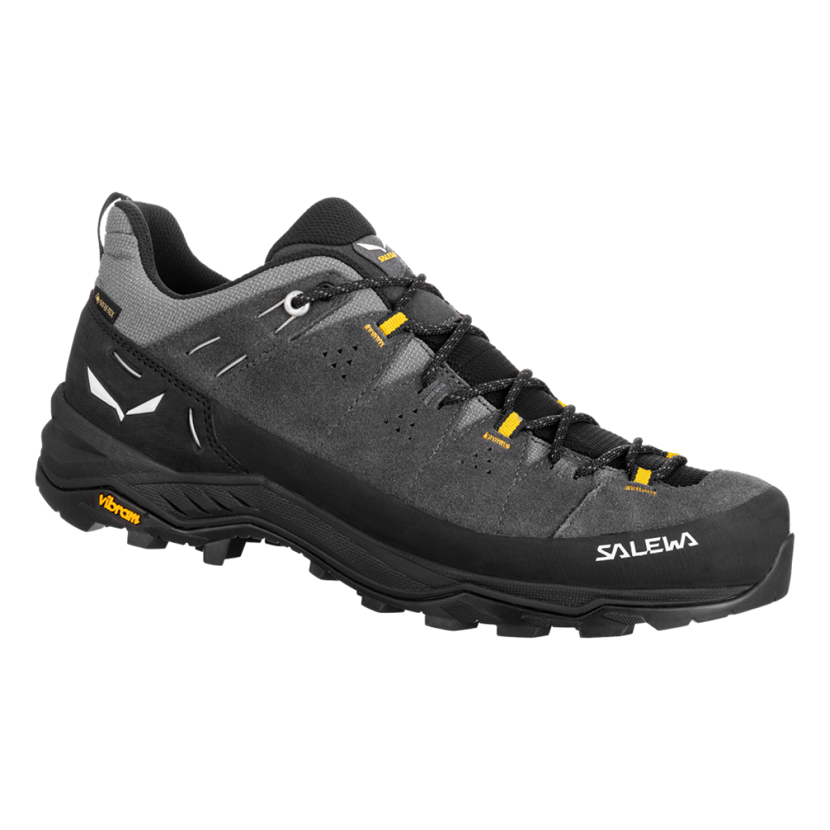 Мъжки туристически обувки Salewa Alp Trainer 2 GORE-TEX® Shoe Men Onyx/Black