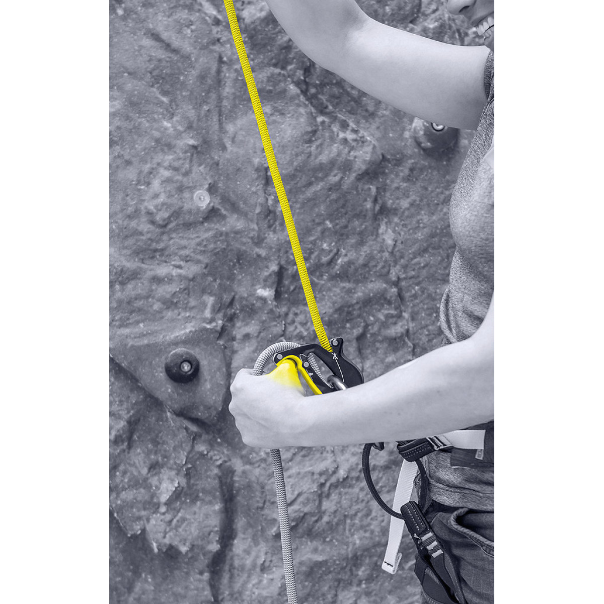 Осигуряващо устройство Salewa Ergo Belay System Night