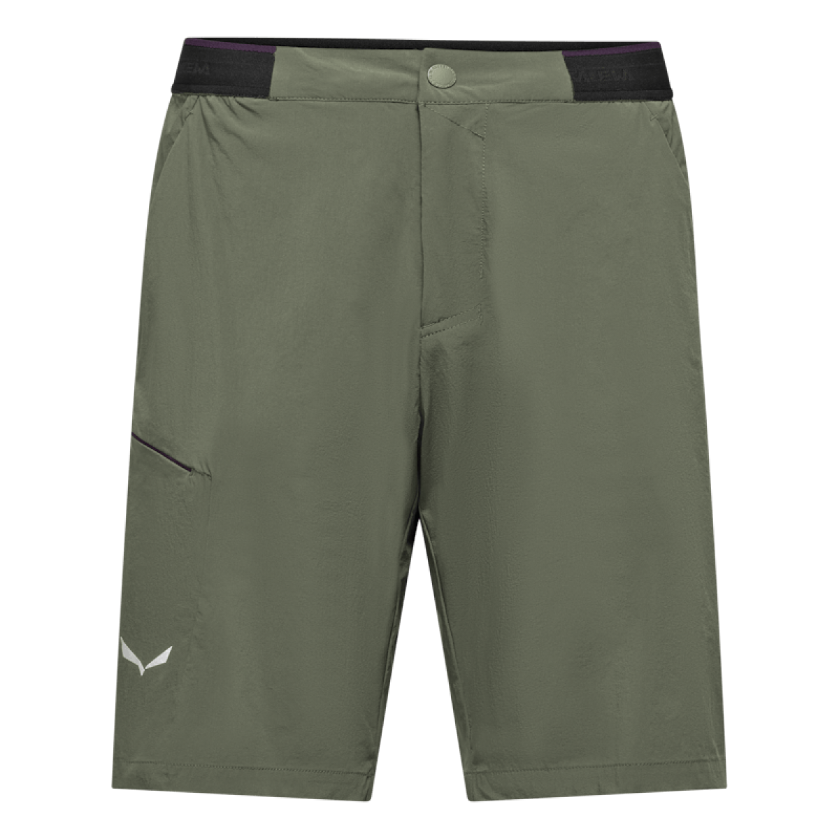 Мъжки къси панталони Salewa Pedroc 4 Durastretch Cargo Shorts Men Faded Green