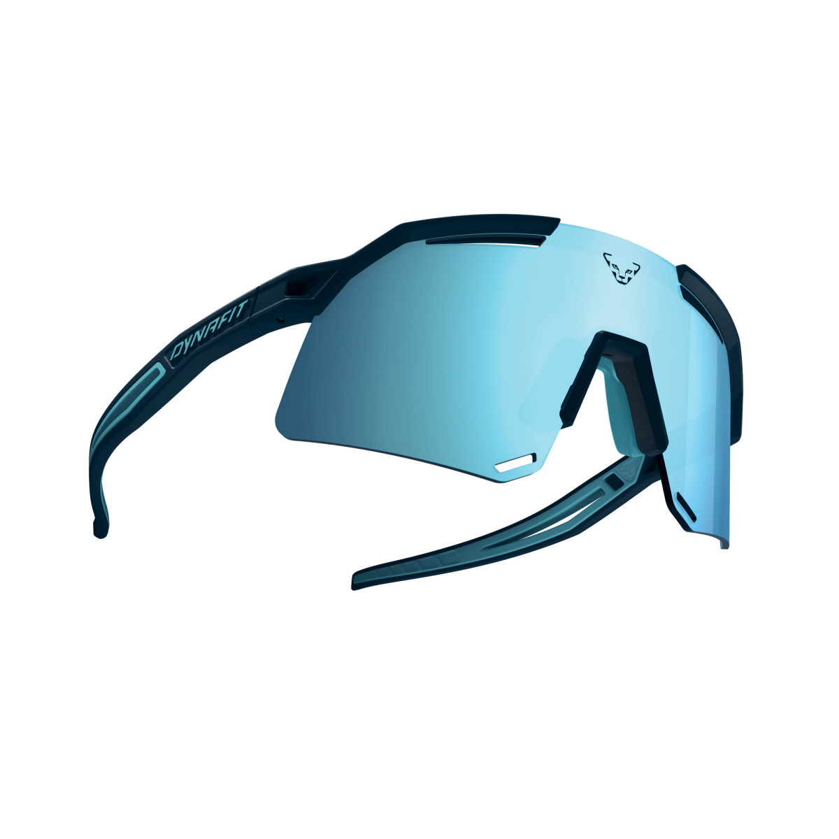 Слънчеви очила Dynafit Ultra Evo Sunglasses Storm Blue